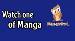 Manga Owl 