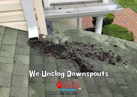 Upper Marlboro Soft Washing Service