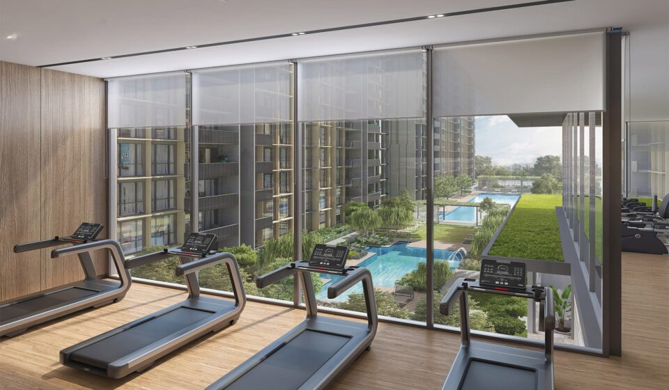 Solano Grand