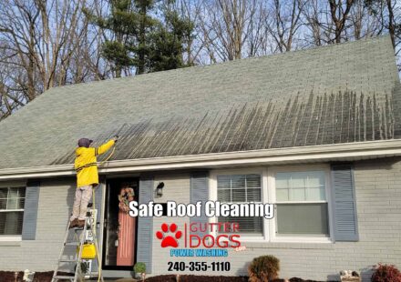 Upper Marlboro Soft Washing Service